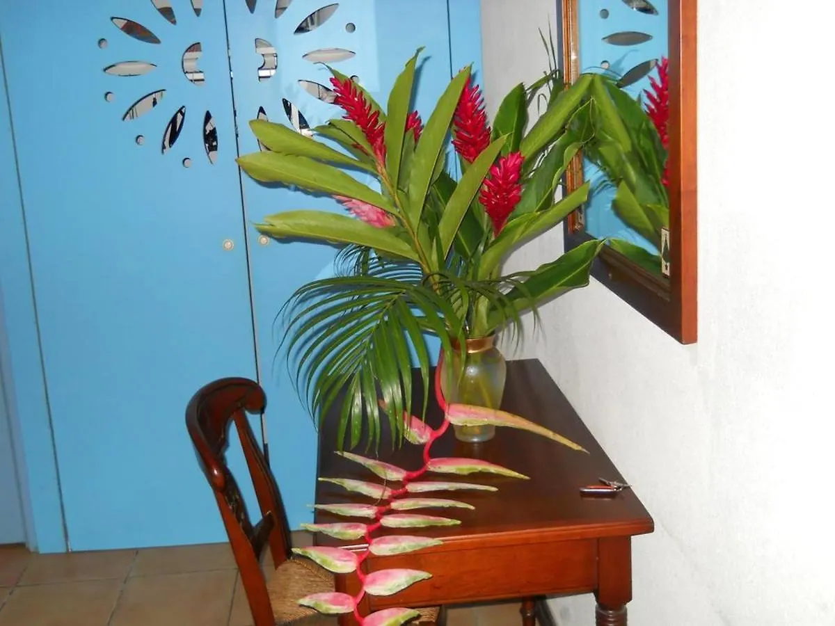 Apartment Appartement Cosy A Sainte Anne 30 M² Avec Piscine Privee
